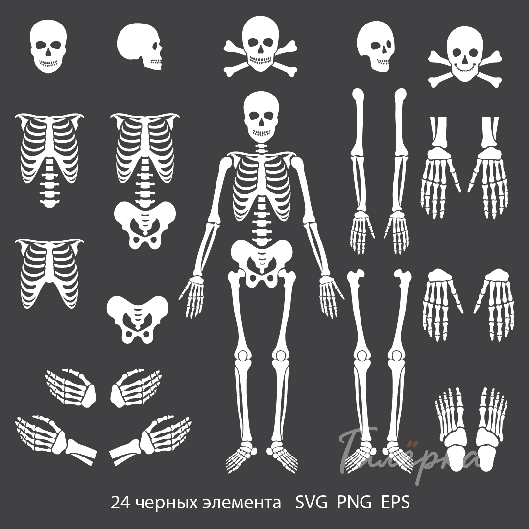 Изображение 3