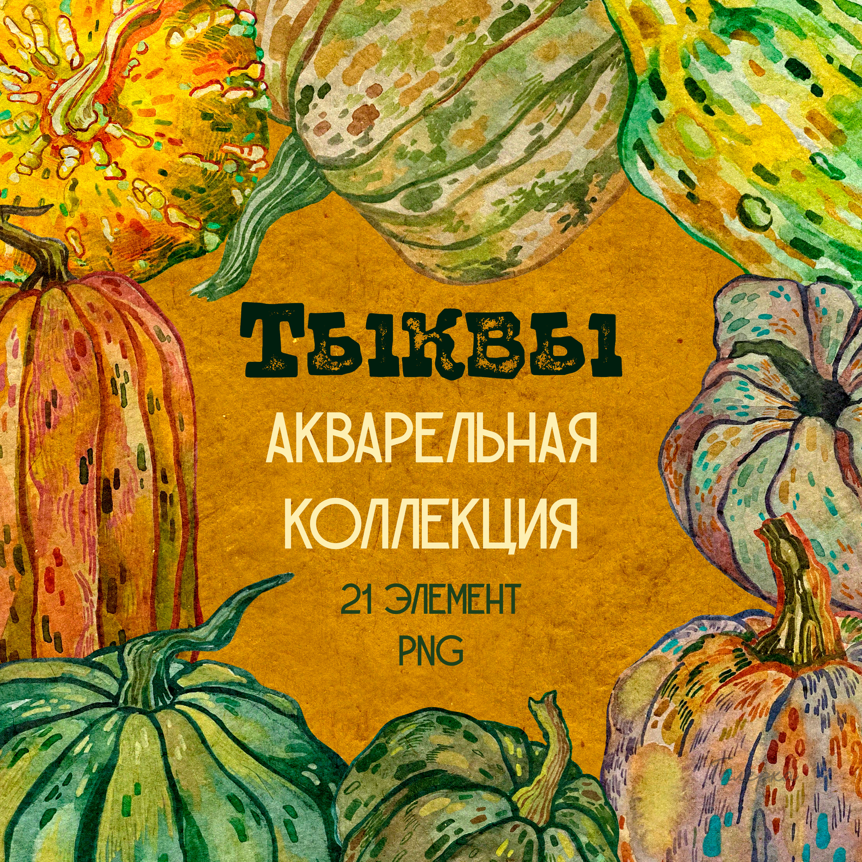 Тыквы - Коллекция акварельных иллюстраций