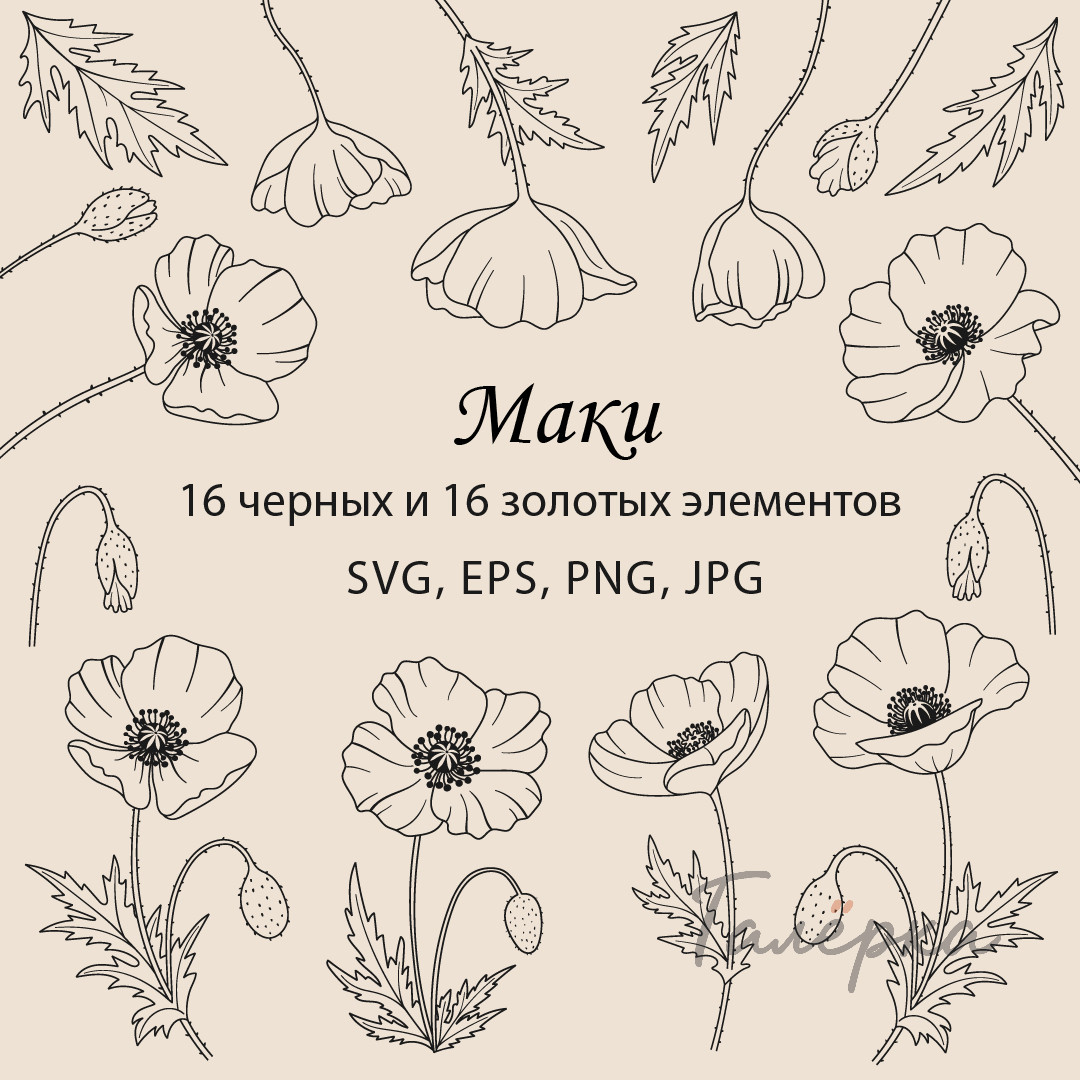 Маки – коллекция контурных черных и золотых клипартов в векторном и растровом форматах