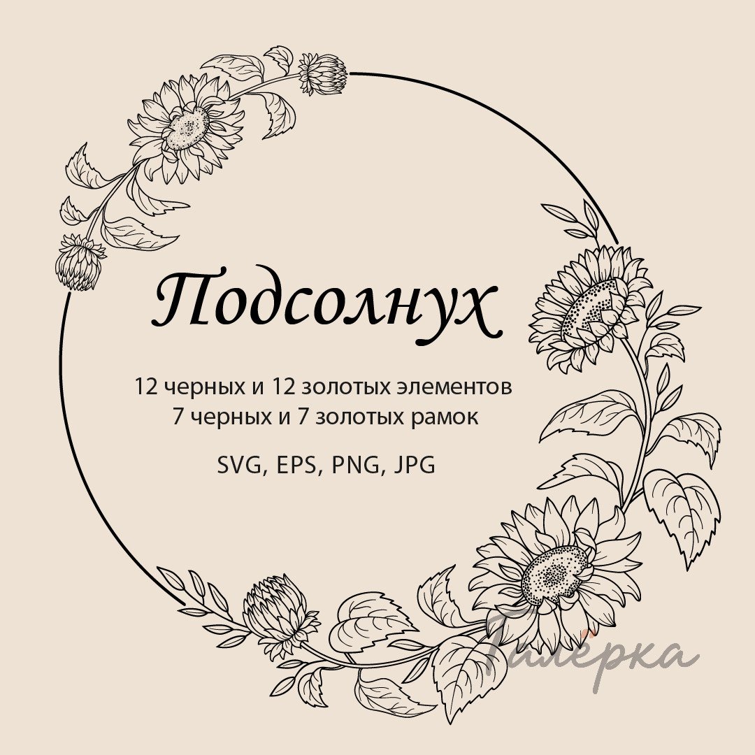 Подсолнухи – коллекция черных и золотых клипартов в векторном и растровом форматах